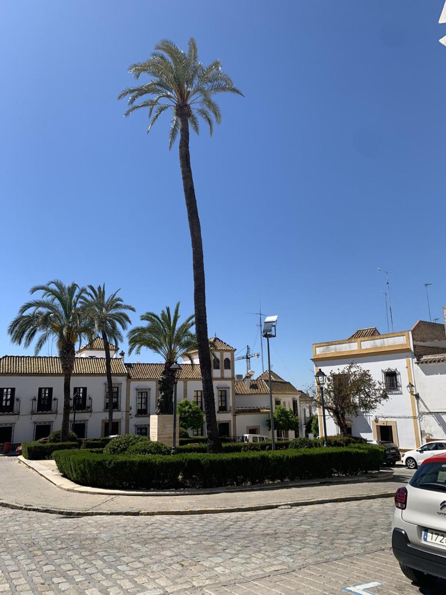 Apartment Torre De Santa Maria Utrera