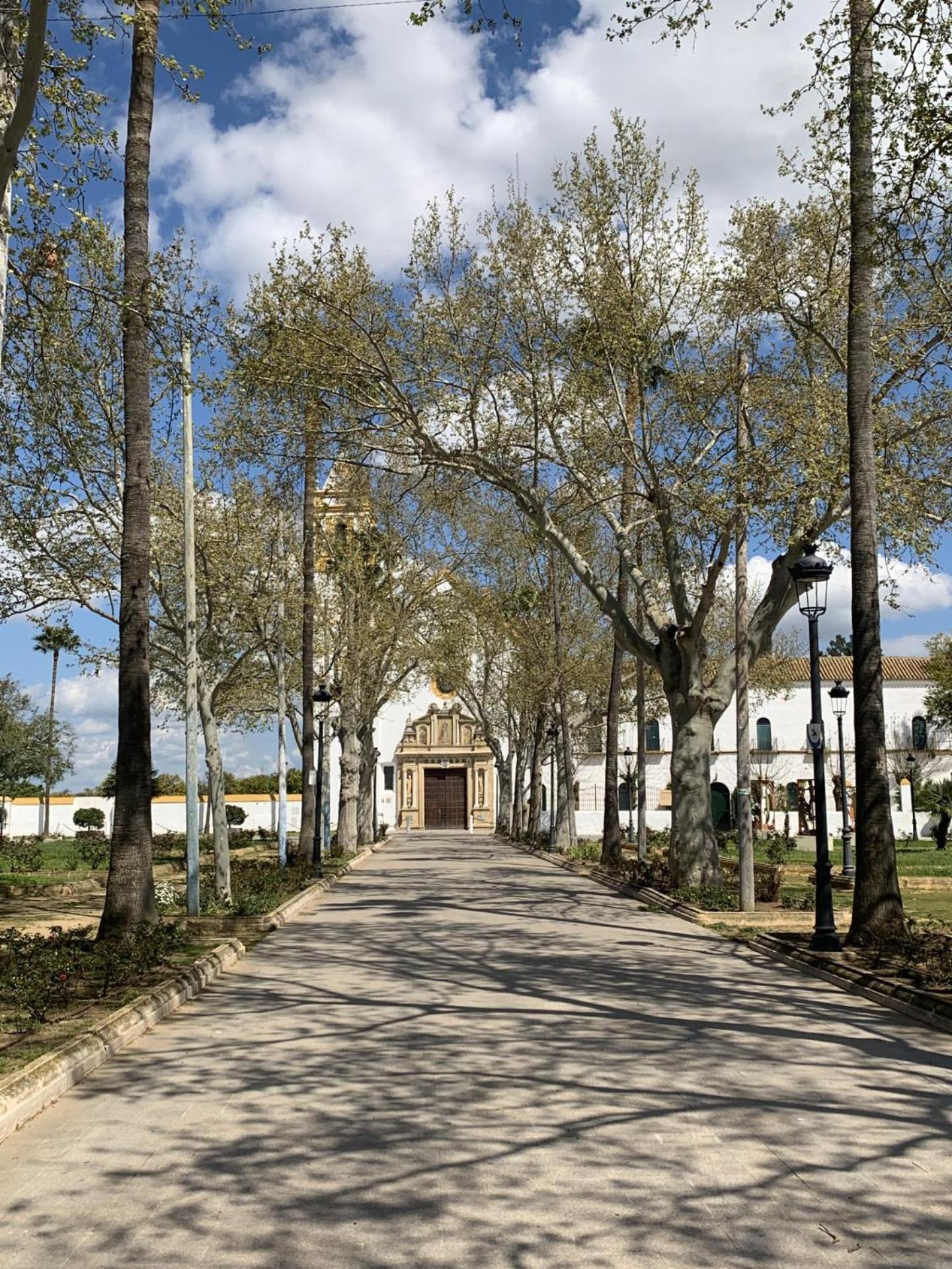 Torre De Santa Maria * Utrera